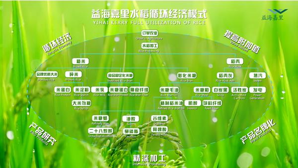 金龙鱼大米产业链创新技术，助力联合国粮农组织可持续发展目标