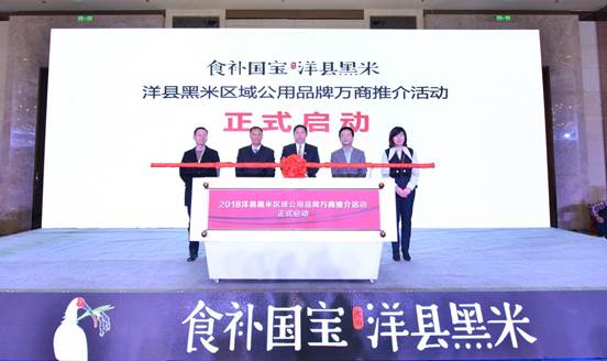 2018洋县黑米区域公用品牌万商推介会成功举办 DSC_6399_副本