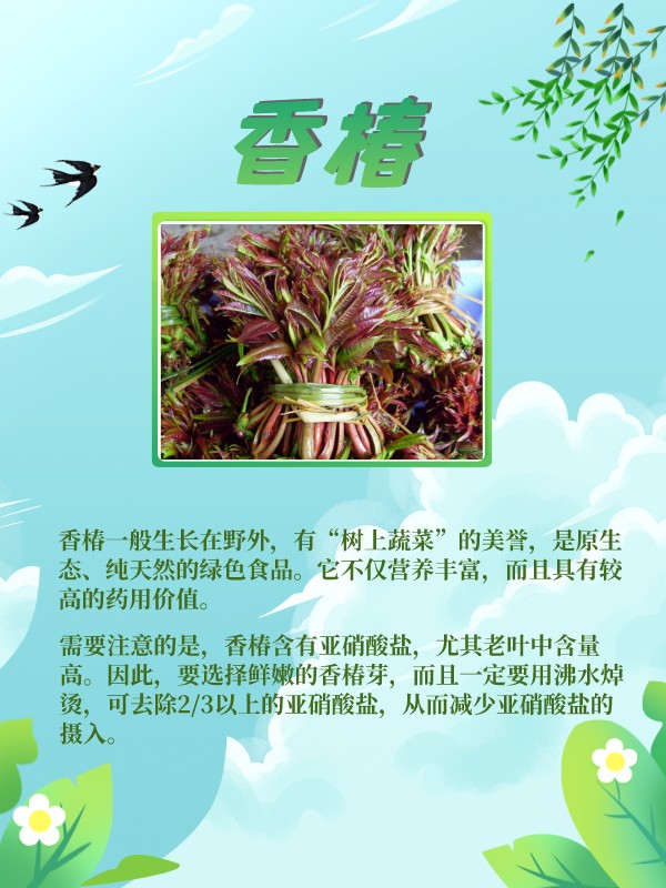 这些野菜是春天的味道