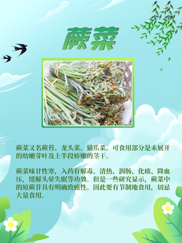 这些野菜是春天的味道