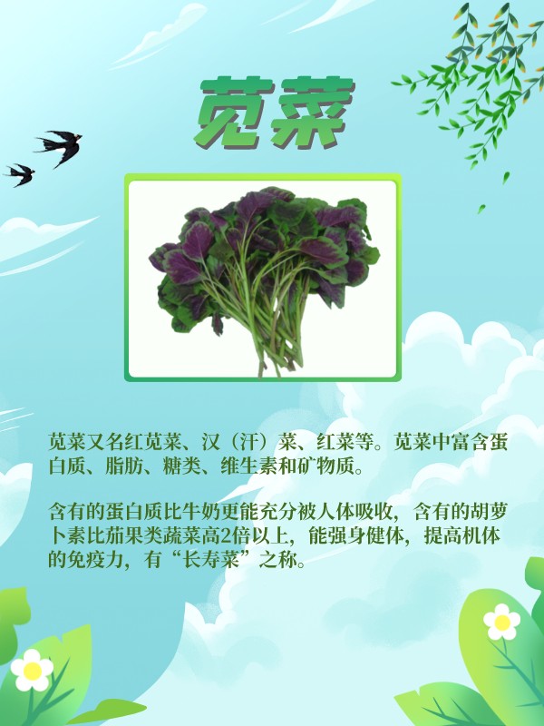 这些野菜是春天的味道