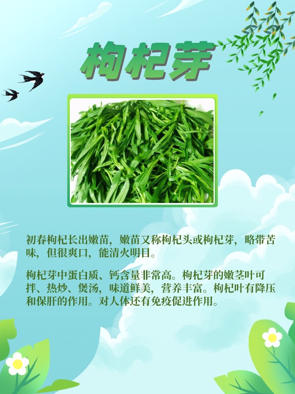 这些野菜是春天的味道