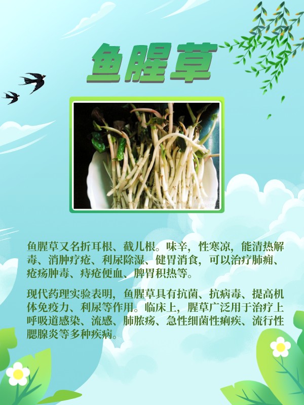 这些野菜是春天的味道