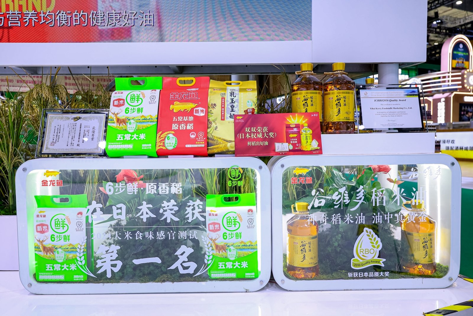 连续八年！益海嘉里金龙鱼再赴进博之约