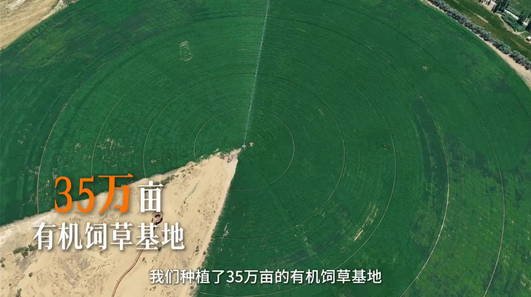 一杯好奶的“新质”密码
