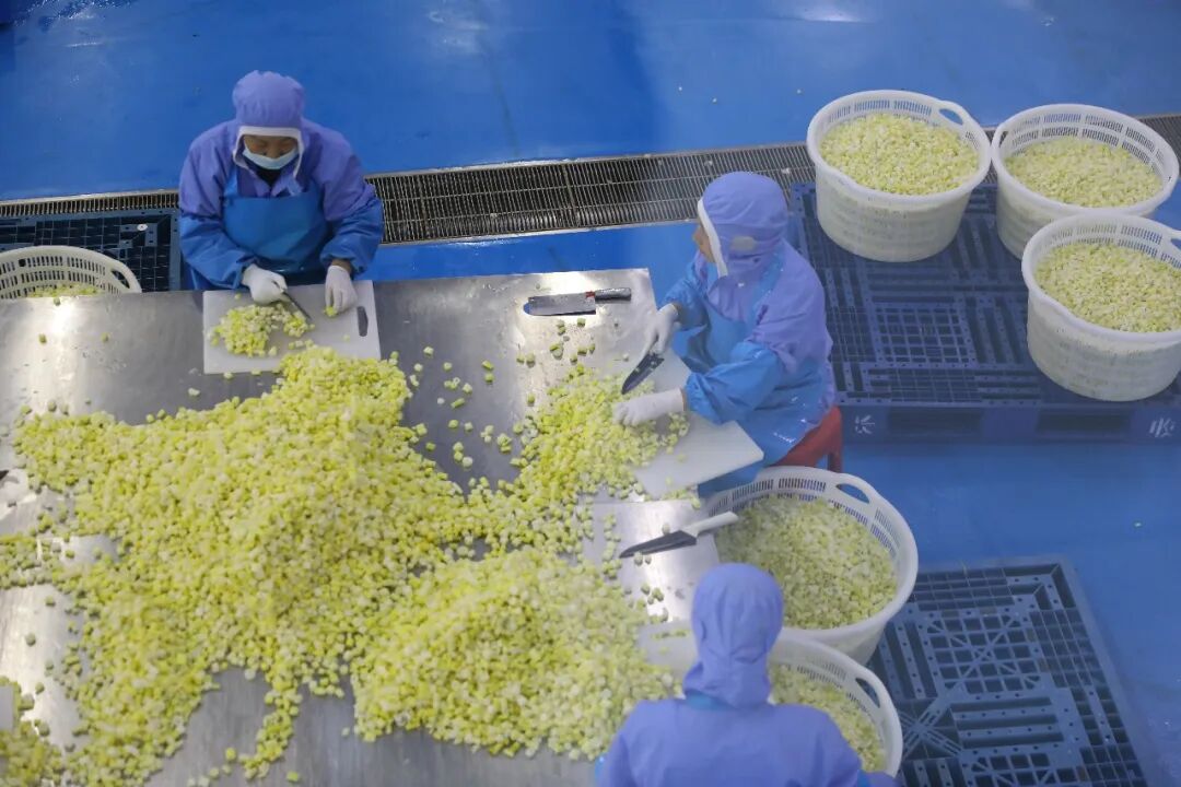 深耕生态底色，“赤水源品”赋能乡村振兴